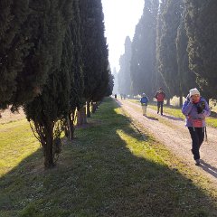 WhatsApp Image 2026-01-08 at 17.02.54